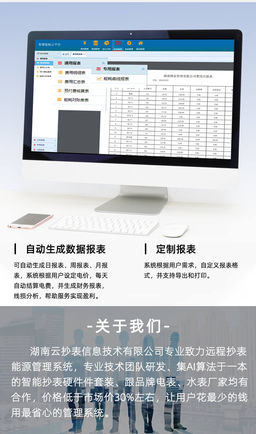 煙臺威思頓DDZY178-Z載波單相預(yù)付費電能表